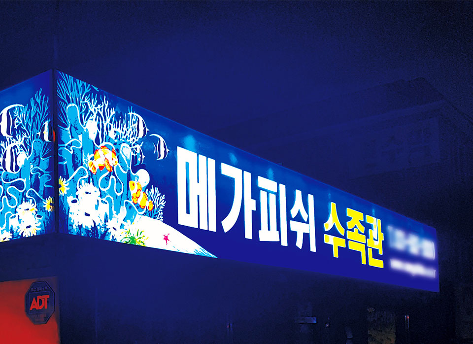 메가피쉬수족관 시공